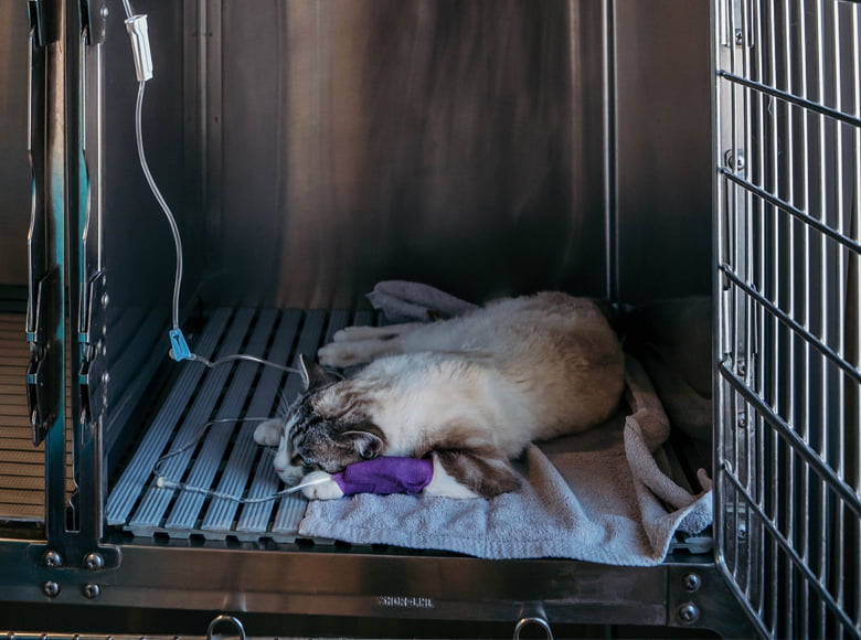 Clinique des Gentianes - hospitalisation