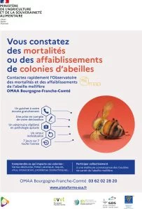 Flyer OMAA Bourgogne